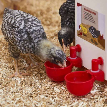 Pachet 6 Căni Automate cu Etanșare și Piulițe pentru Apă - PoulCups - Inovamarket
