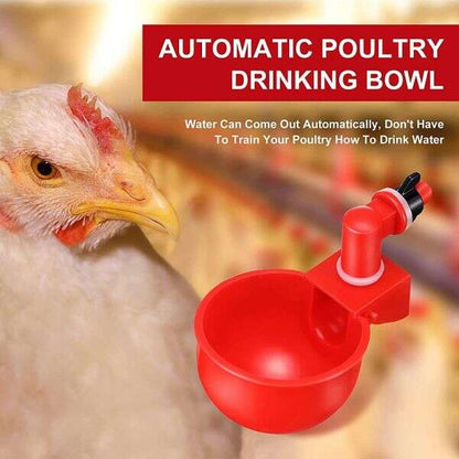 Pachet 6 Căni Automate cu Etanșare și Piulițe pentru Apă - PoulCups - Inovamarket